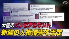 ゾンビアカウントを利用して人権侵害を否定