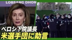 米選手団は中共の怒り買うリスクは犯さないで＝ペロシ下院議長