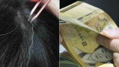 “후배한테 새치 뽑아달라고 부탁하고 1개당 3만원씩 주는데, 갑질인가요?”