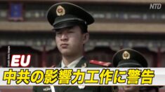 EU 中共の影響力工作に警告