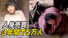 ３年間で５万人の女性が売られた　
