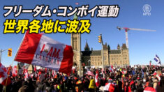 カナダのフリーダム・コンボイ運動　世界各地に波及