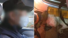 범퍼에 낀 강아지 구하려고 ‘차량 해체’한 택시기사 선행에 현대차가 내린 결정