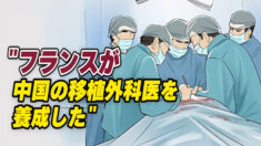 仏下院で中国の臓器移植について討論「フランスが中国の移植外科医を養成」