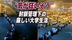 封鎖管理下の厳しい大学生活「気が狂いそう」【禁聞】