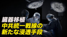 統一戦線の新たな浸透手段「緑金計画」とは【禁聞】