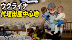 ウクライナ代理出産ビジネス 顧客は西欧と中国