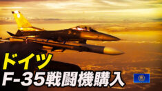 ドイツ 「F-35」戦闘機を35機購入