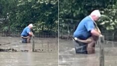 홍수로 죽을 뻔했던 강아지가 목숨 구해준 사람에게 보인 뭉클한 반응