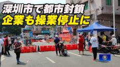 深圳市で都市封鎖 企業も操業停止に