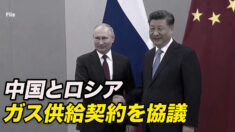 中露 ガス供給契約を協議  日米欧制裁と対照的に