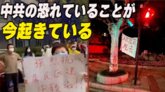 上海人の怒りが沸騰「中共の恐れていることが今起きている」【禁聞】