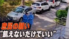 食料・医療支援不足に苦しむ上海市民 「そこそこ飢えがしのげるだけでいい」