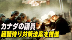 カナダの議員 臓器狩り対策法案を推進