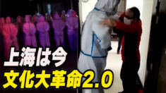 感染者の出た居住区は「連座制」文革2.0の上海
