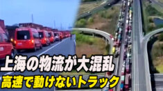 上海の物流が大混乱 「一番足りないものは食べ物」