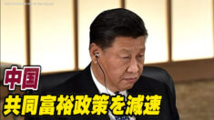 中国 「共同富裕」政策を減速