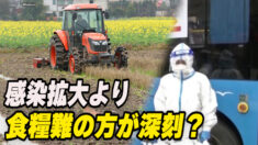 感染症より食糧難が深刻 吉林省で農民の帰郷を許可