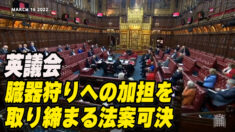 英議会 臓器狩りへの加担を取り締まる法案可決