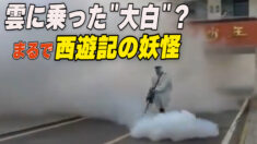 大白が雲に乗って消毒？ 消毒噴霧のパロディ動画が話題