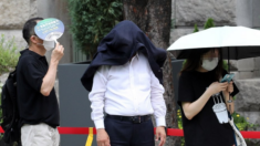 기상청 “다음주 일부 지역 ‘폭염특보’ 가능성”…벌써 ‘여름’ 온다