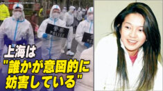 葉剣英の孫娘「誰かが意図的に妨害している」