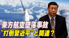 東方航空墜落事故 民航系統の「打倒習近平」内部闘争に関連か