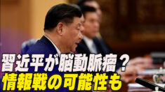 習総書記が脳動脈瘤？ 専門家「情報戦の一環の可能性も」