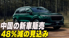 中国の新車販売 48％減の見込み