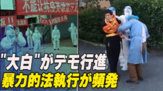 「大白」がデモ行進　暴力的法執行が頻発