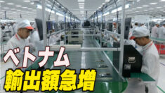 ベトナムの輸出額が急増