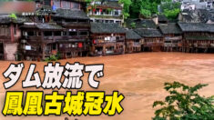 洪水の季節到来  ダム放流で鳳凰古城冠水