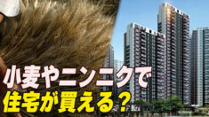 小麦やニンニクで住宅が買える？ 不動産業者の販促キャンペーン