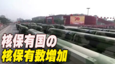 核保有国の核弾頭保有数が増加