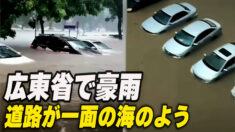 広東省茂名市 道路が一面の海のよう