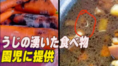 園児にうじの湧いた食べ物を提供 山東省煙台市の幼稚園