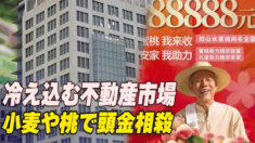 冷え込む不動産市場 小麦や桃で頭金相殺