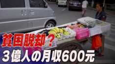 中共は小康社会の実現を宣伝 専門家「３億人の月収が600元」【禁聞】