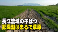 続く長江流域の干ばつ 鄱陽湖と洞庭湖の面積が６割以上縮小