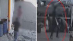 흉기에 목 찔려 피투성이 된 피해자에 “이름? 생년월일?” 재촉한 경찰