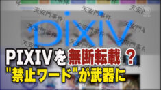 中国の模倣サイトがpixivを無断転載 「禁止ワード」が力を発揮