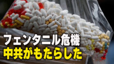 「中共がフェンタニル危機をもたらした」フロリダ州知事が非難