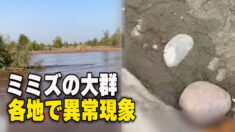 貴州省巨大居住区を封鎖 各地で異常現象続出