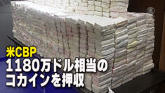 米国で1,180万ドル相当のコカインを押収