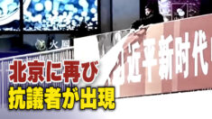 党大会後 北京に再び抗議者が出現
