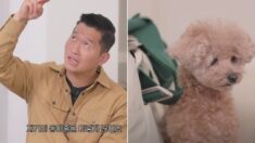 ‘내가 이 집을 떠날게’ 강형욱이 말하는 새 강아지 데려올 때 노견의 심정