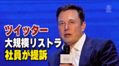 ツイッターの大規模リストラ 社員が提訴