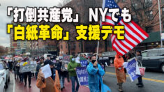 「打倒共産党」 NYでも「白紙革命」支援デモ