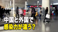 同じウイルスに二つの顔？中国と外国で感染力が違う