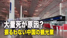 封鎖解除しても振るわない中国の観光業
